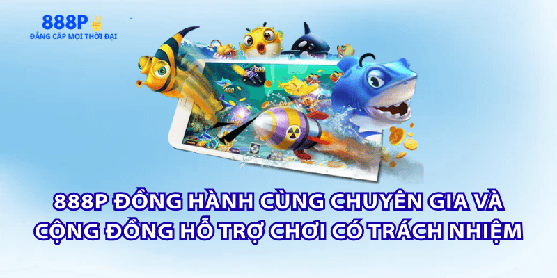 ho-tro-chuyen-gia-cong-dong-choi-co-trach-nhiem-888p