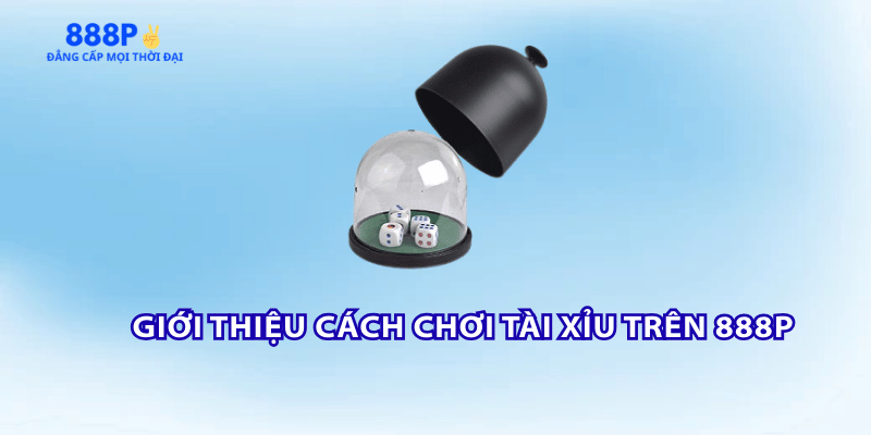 tong-quan-cach-choi-tai-xiu